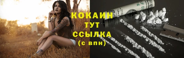 гашик Богородицк