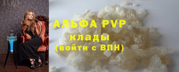 амф Бородино