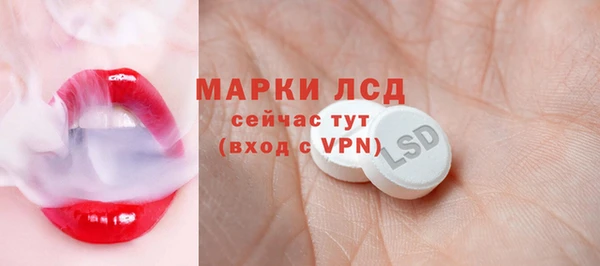 амф Бородино