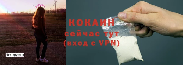 apvp Богданович