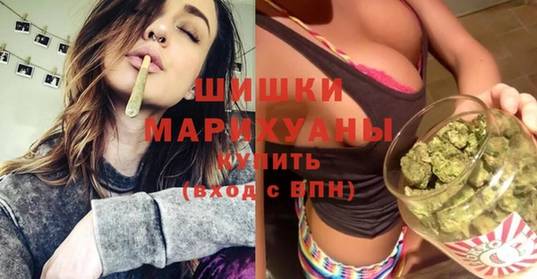 apvp Богданович