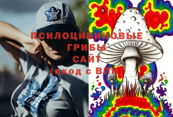 гашик Богородицк