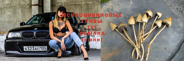 jwh Бугульма