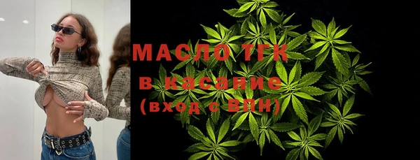 амф Бородино